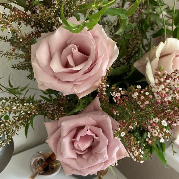 Meet your Posher, Natasha - Picture 1 of 1